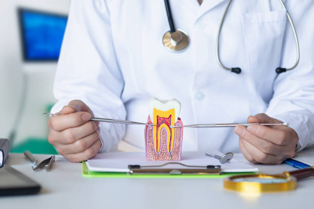 Best Emergency Wisdom Teeth Removal in Germantown, IL